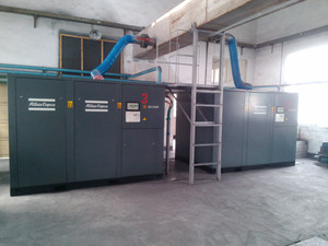 IMG_20130322_104312.jpg